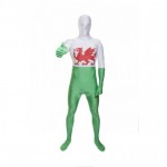 Morphsuit Wales Flagge