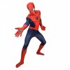 Spiderman Morphsuit