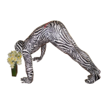 Zebra Morphsuit