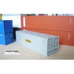 C-RAIL 30ft Bulkcontainer Container Bertschi H0